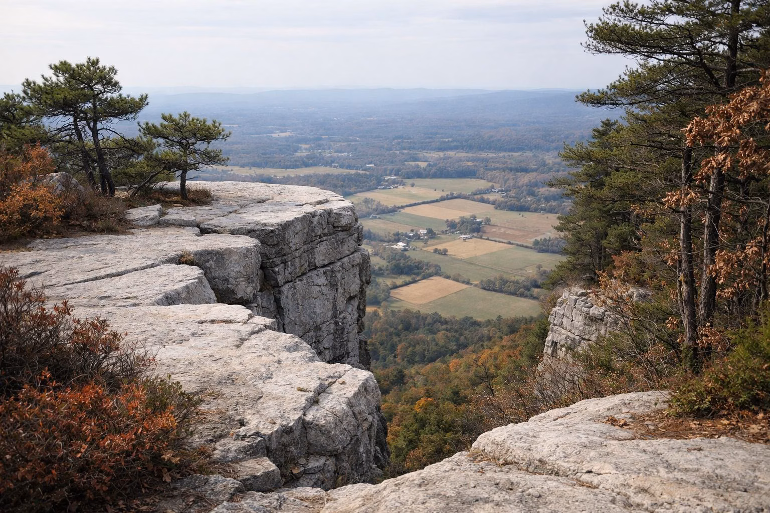 A pale rock cliff edge with pitch pines and autumn blueberry above a patchwork of farm fields
