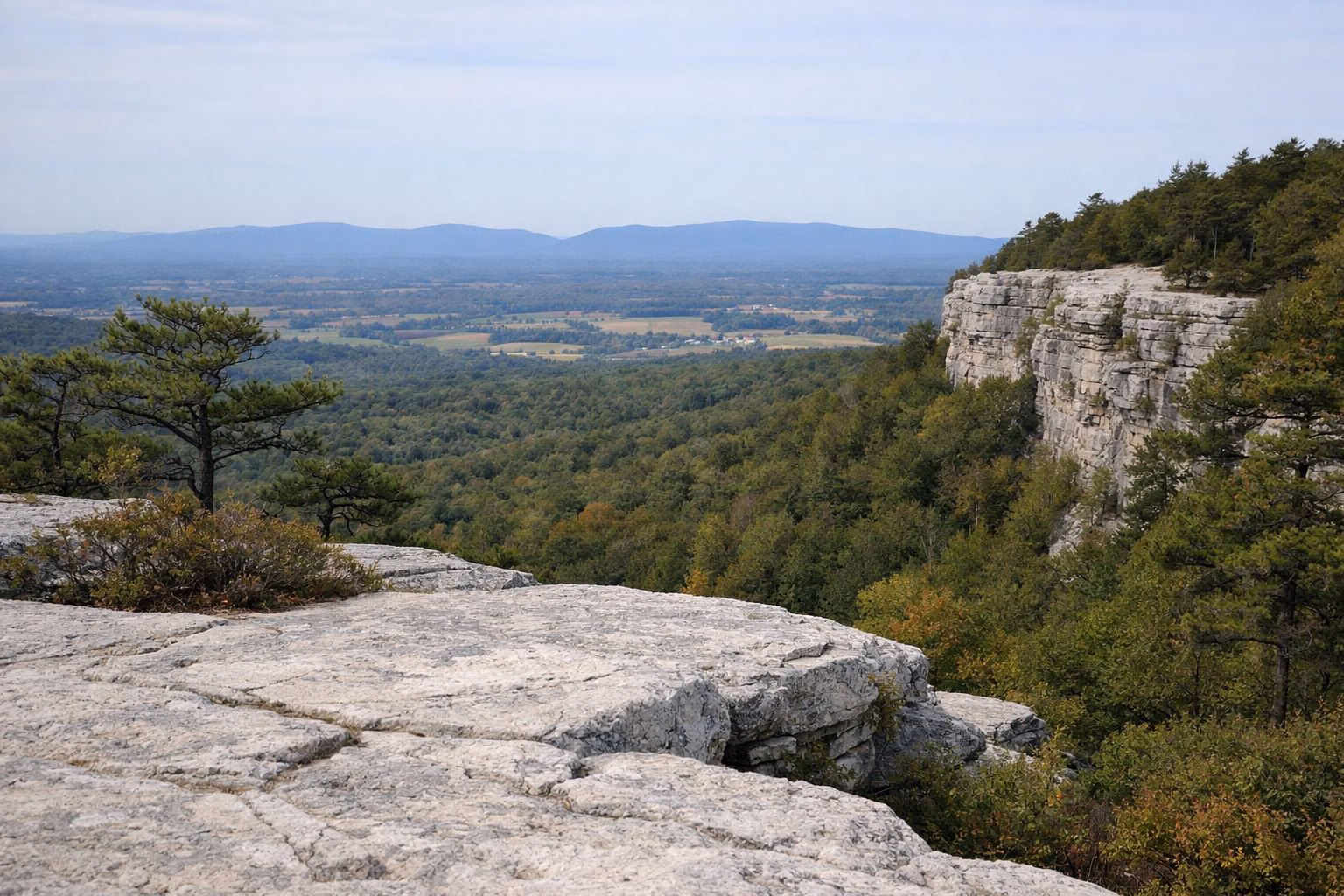 A wide view from a pale rock ledge with stunted pitch pines over a forested valley and distant farm fields