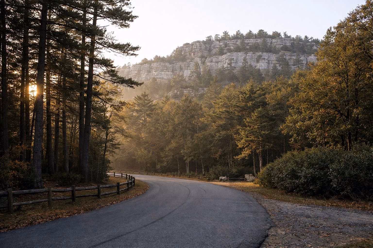 A paved park road curving through oak and pine woods in early autumn light below a cliff-topped ridge
