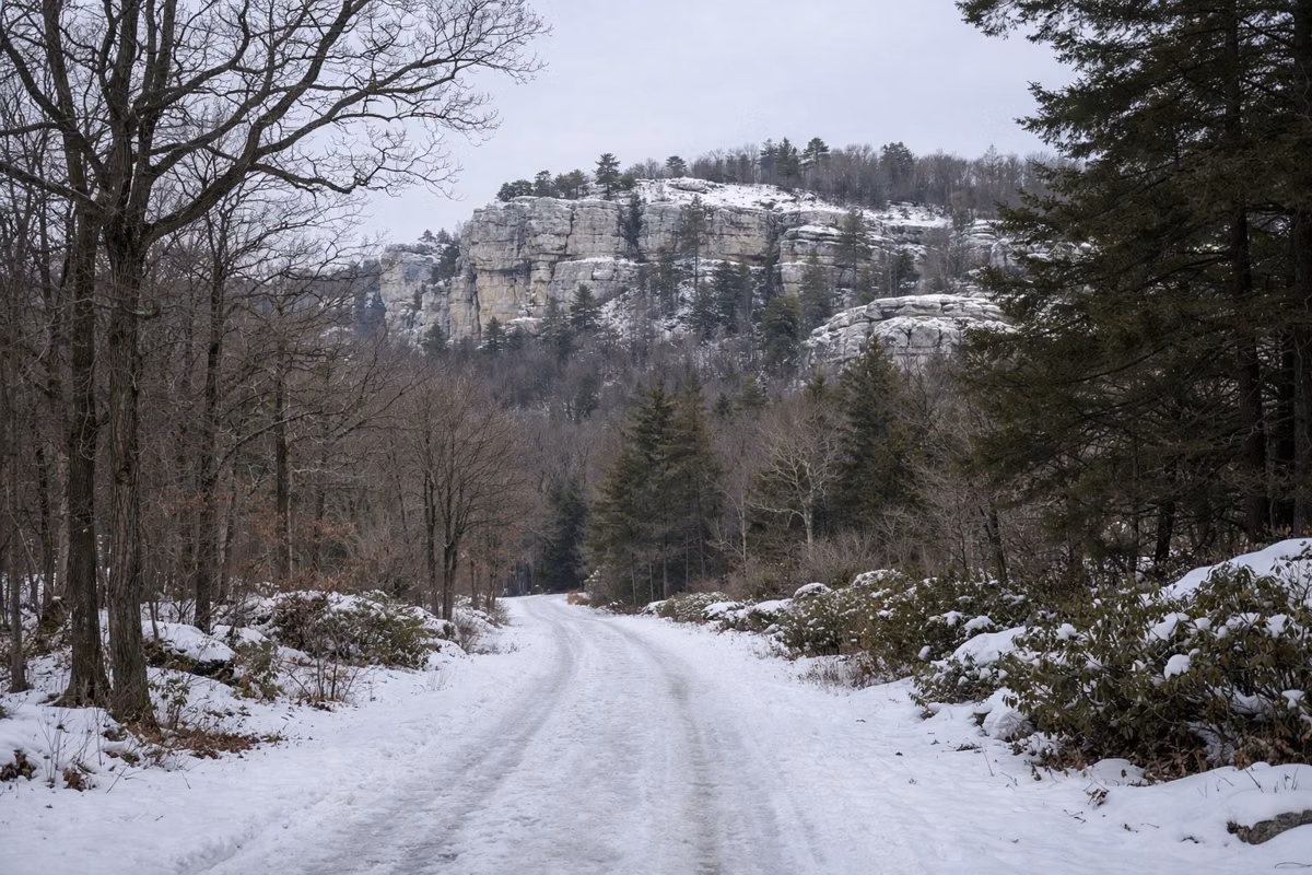 A snow-covered carriage road through bare woods below pale cliffs