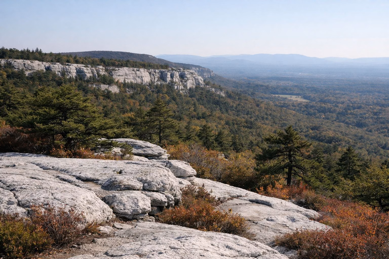 Pale rock ledges, pitch pines and red huckleberry on a high ridge above a wide valley