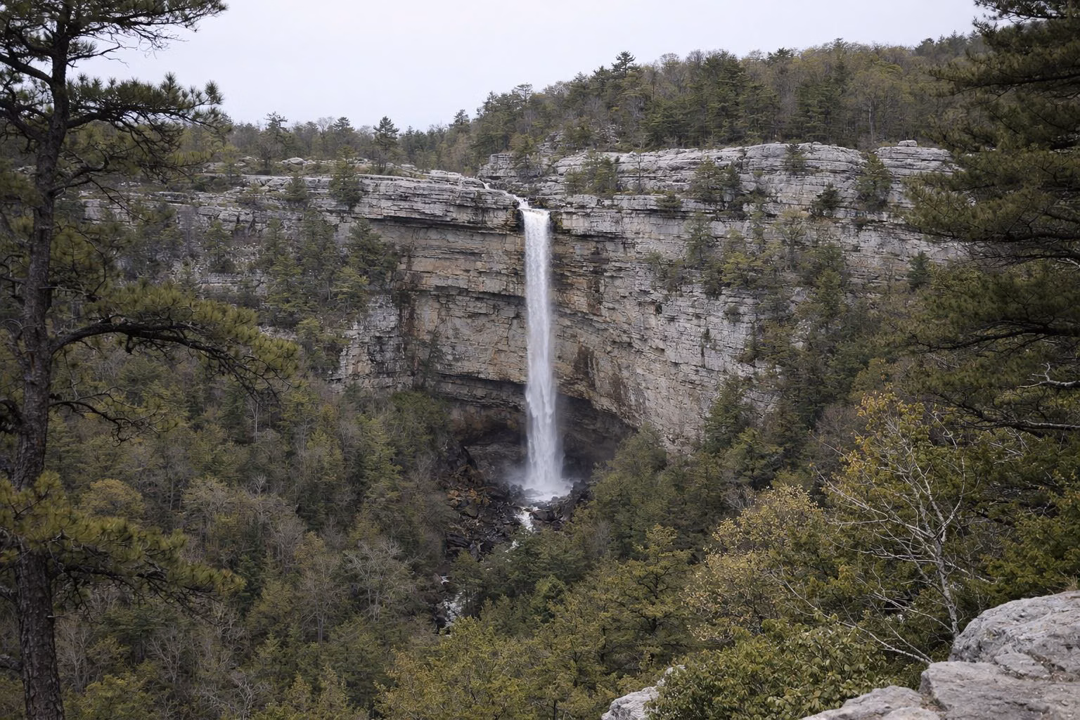 A tall slender waterfall plunging over a sheer cliff into a forested gorge